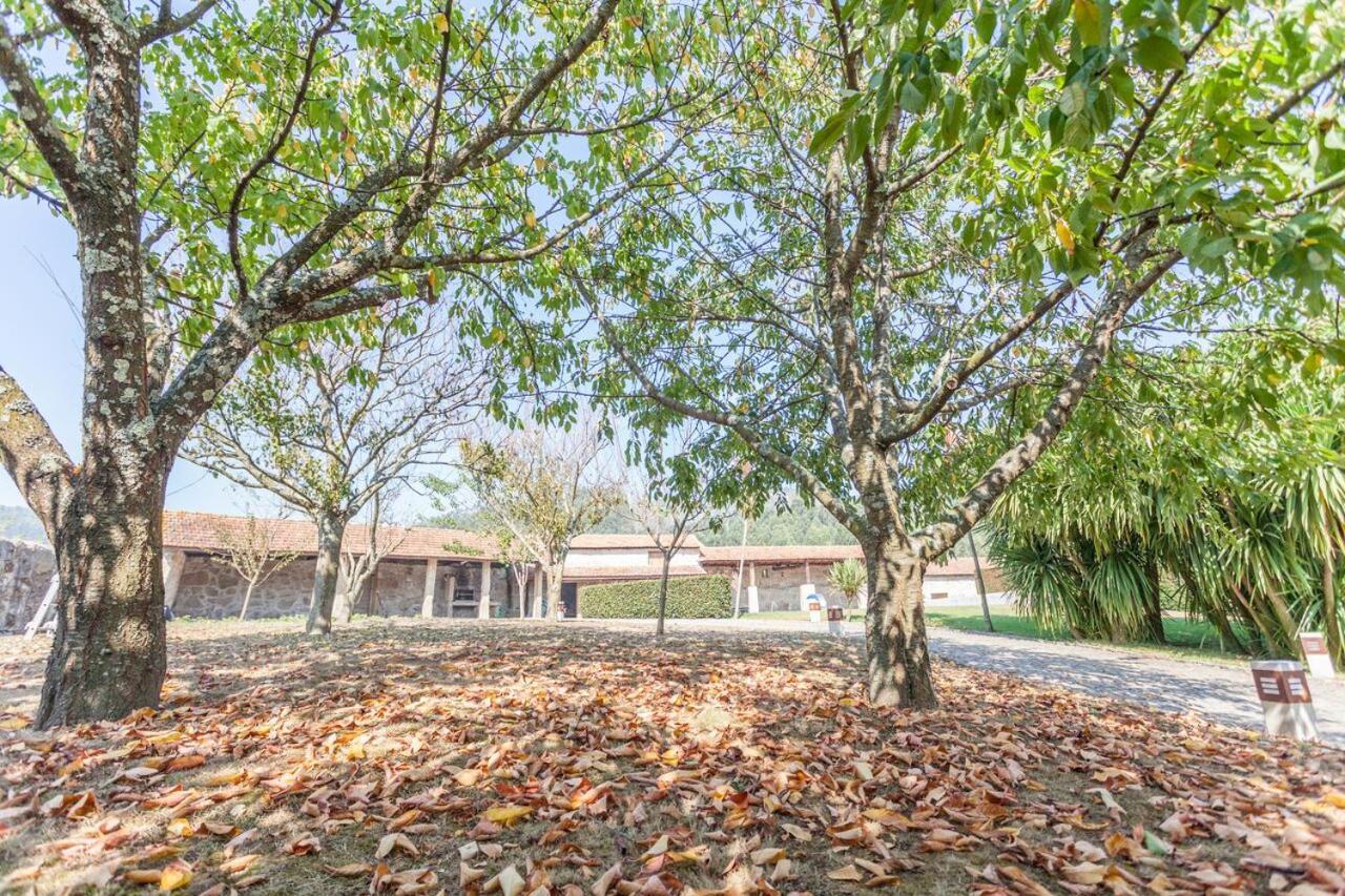 Quinta Da Presa